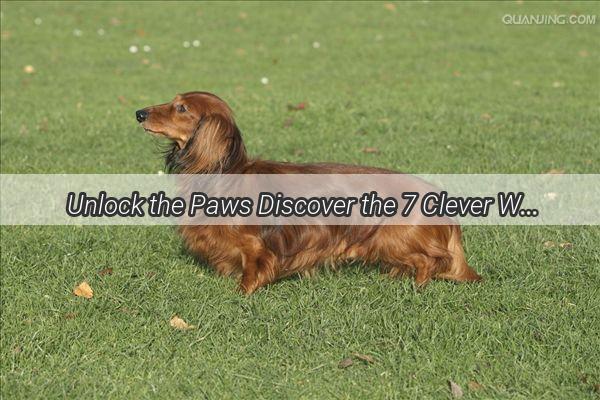 Unlock the Paws Discover the 7 Clever Ways Your Canine Companion Enters the House